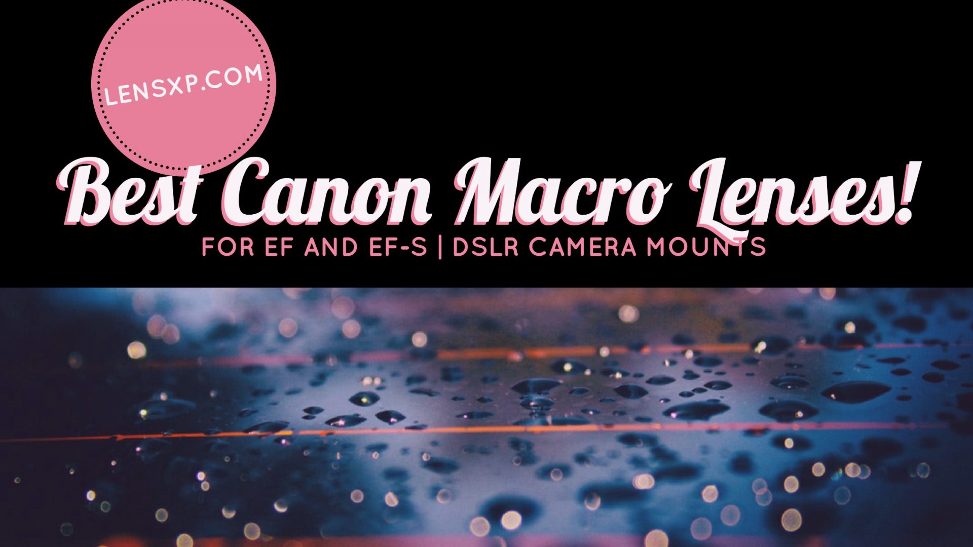 Best Canon Macro Lenses for EF and EFS DSLR Camera Mounts