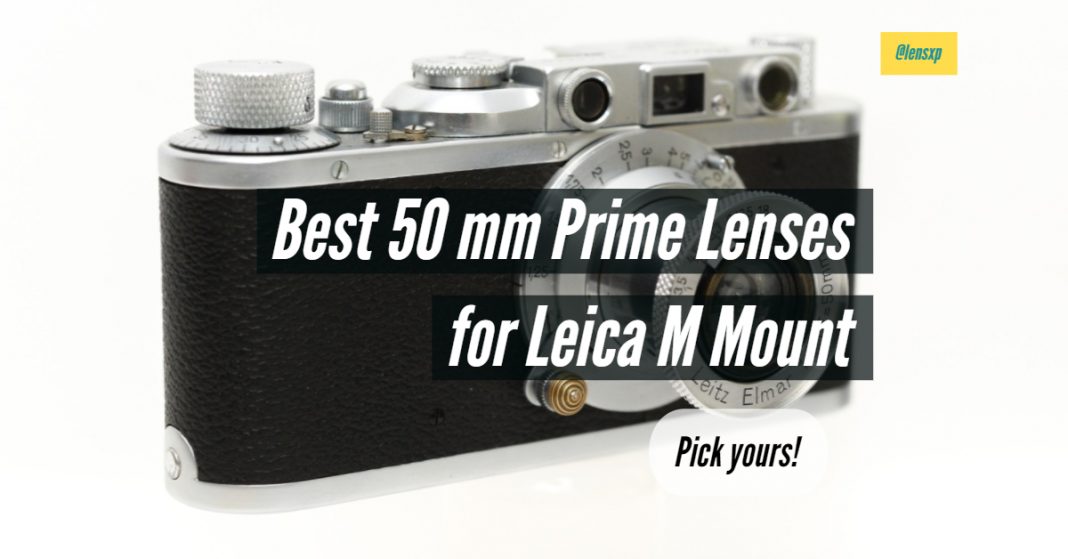 Best 50 mm Prime Lenses for Leica M Mount