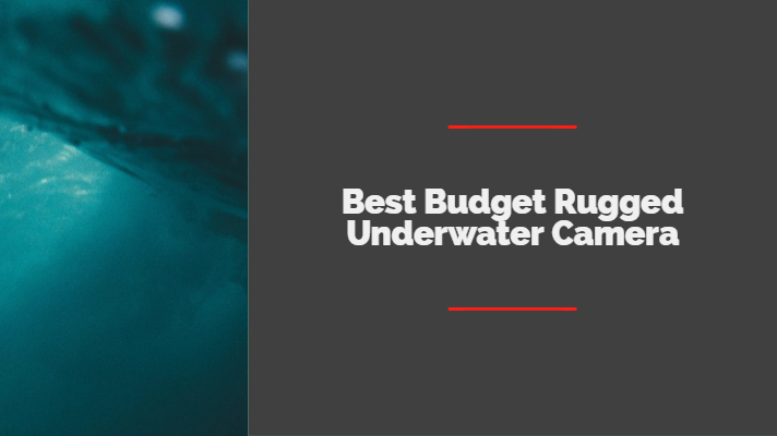 Best Budget Rugged Underwater Camera under $500 Point Shoot Options
