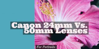 Canon 24mm Vs. 50mm Lenses
