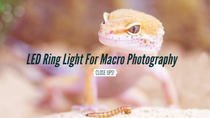 LED Ring Light For Macro Photography
