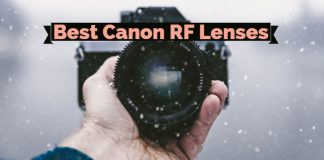 Best Canon RF Lenses RF Mount