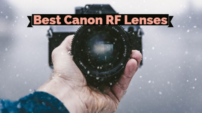 Best Canon RF Lenses RF Mount