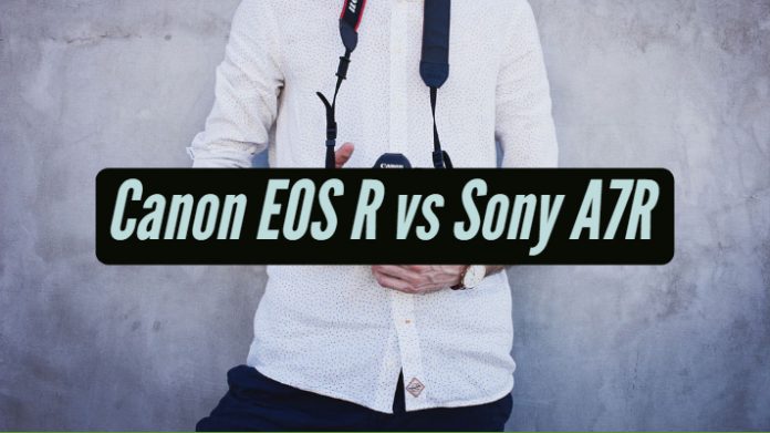 Canon EOS R vs Sony A7R
