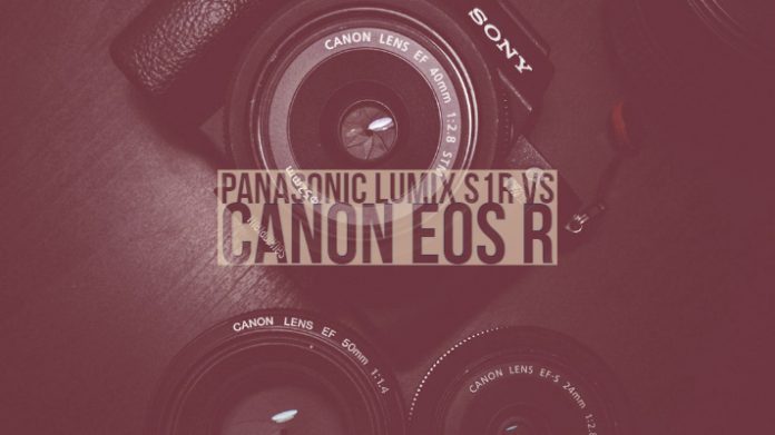 Panasonic Lumix S1R vs Canon EOS R