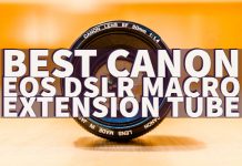 Best Canon EOS DSLR Macro Extension Tube