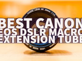 Best Canon EOS DSLR Macro Extension Tube