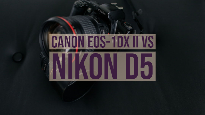 Canon EOS-1DX II vs Nikon D5