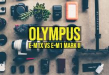 Olympus E-M1X vs E-M1 Mark II