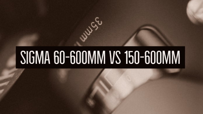 Sigma 60-600mm vs 150-600mm