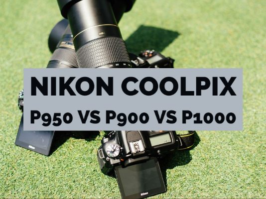 Nikon Coolpix P950 VS P900 VS P1000