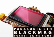 Panasonic S1H vs Blackmagic Pocket 6k vs Sony A7R