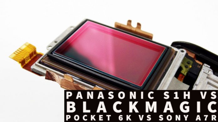 Panasonic S1H vs Blackmagic Pocket 6k vs Sony A7R