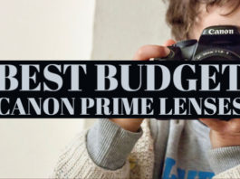 Best Budget Canon Prime Lenses