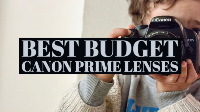 Best Budget Canon Prime Lenses