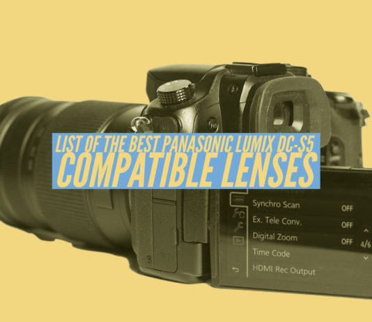 List of the best Panasonic Lumix DC-S5 Compatible Lenses