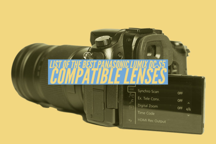 List of the best Panasonic Lumix DC-S5 Compatible Lenses
