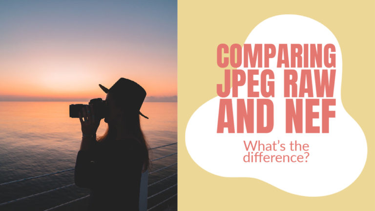 Comparing JPEG RAW and NEF – What’s the difference?